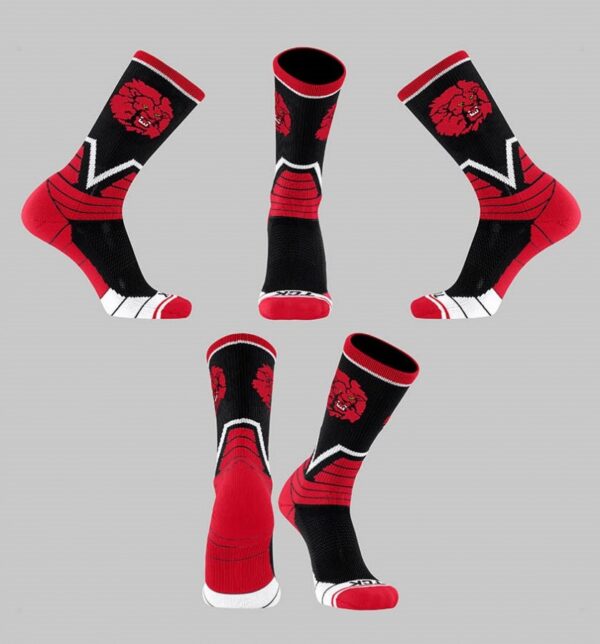 SEARCY MASCOT SOCKS