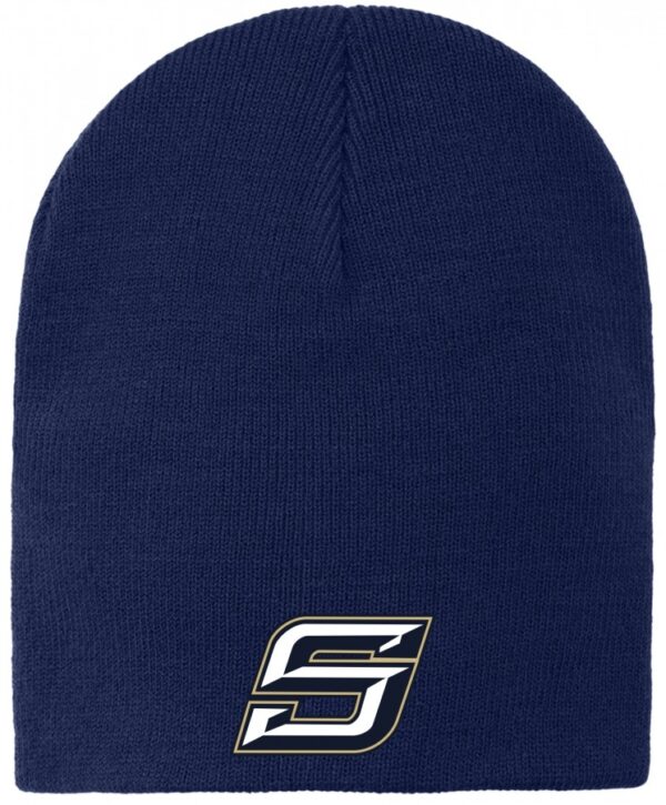 2D1 SOUTHSIDE BEANIE