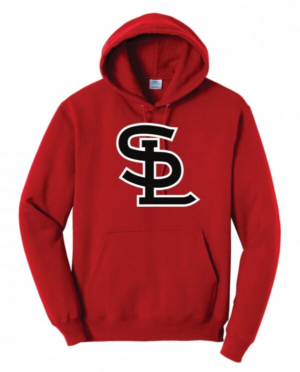 5D247 YOUTH SEARCY HOODIE