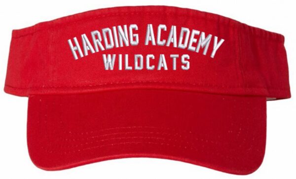 8D3 HARDING ACADEMY VISOR