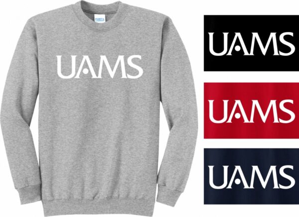 D4 G180 UAMS FBBH SWEATSHIRT